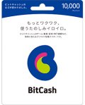 表示テストビットキャッシュ 10000円分